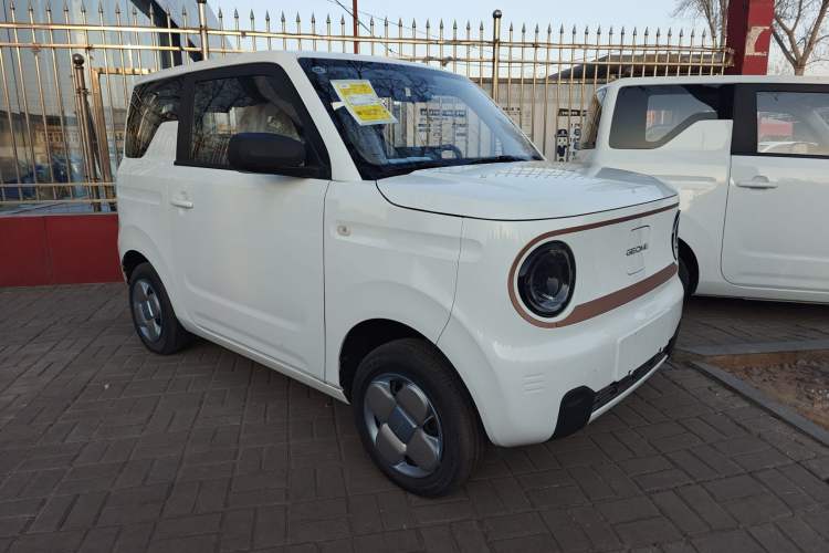Used  Panda 2024 Panda Mini 200km Endurance Bear