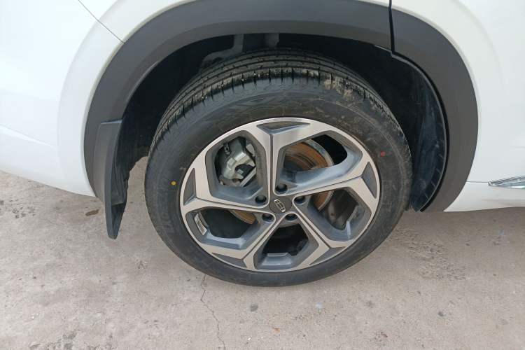 Used Geely Auto Monjaro L 2024 2.0TD DCT EVO Two-Wheel Drive Long-Range Version
