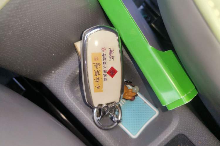 Used  Panda 2024 200km Panda Rider
