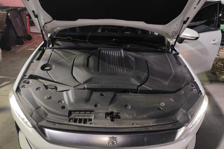 Used BYD Qin PLUS 2021 EV 400KM Luxury Model
