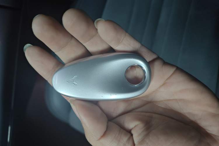 Used VOYAH COURAGE 2024 Four-Wheel Drive Global Edition