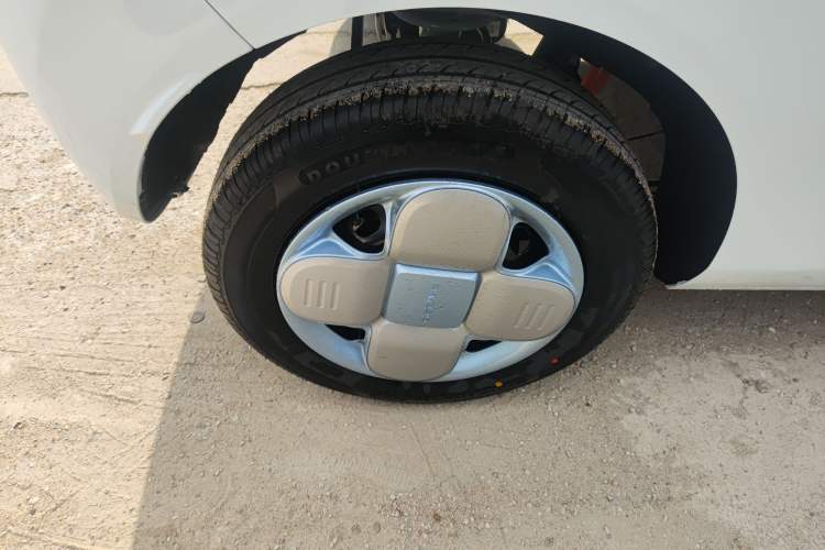 Used  Panda 2024 Panda Mini 200km Endurance Bear
