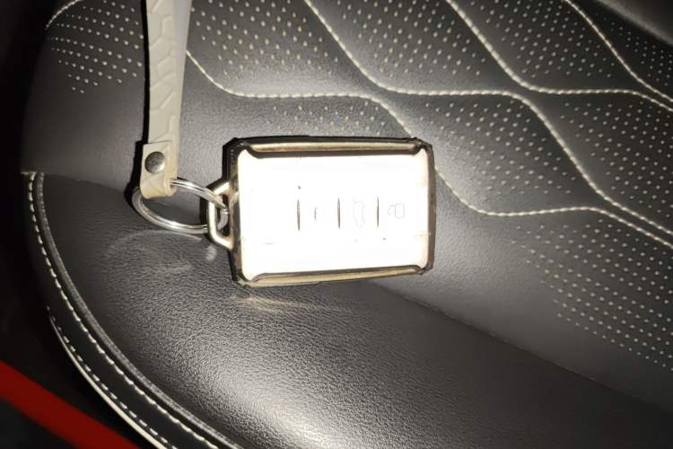 Used Tank 300 2021 Off-Road Edition 2.0T Challenger