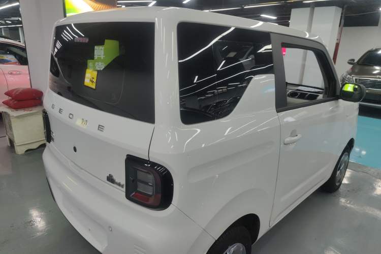 Used  Panda 2023 Panda Mini 200km Endurance Bear
