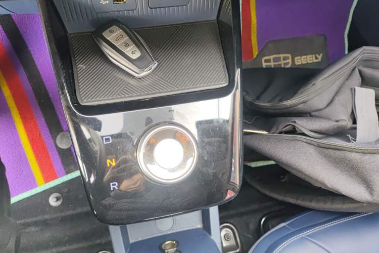 Used Geometry E Firefly 2022 320KM Cute Tiger 4-Seater