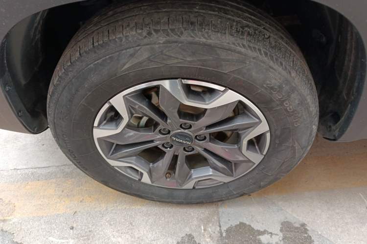 Used Haval DARGO 2024 2.0T DCT Chinese Rural Dog Edition
