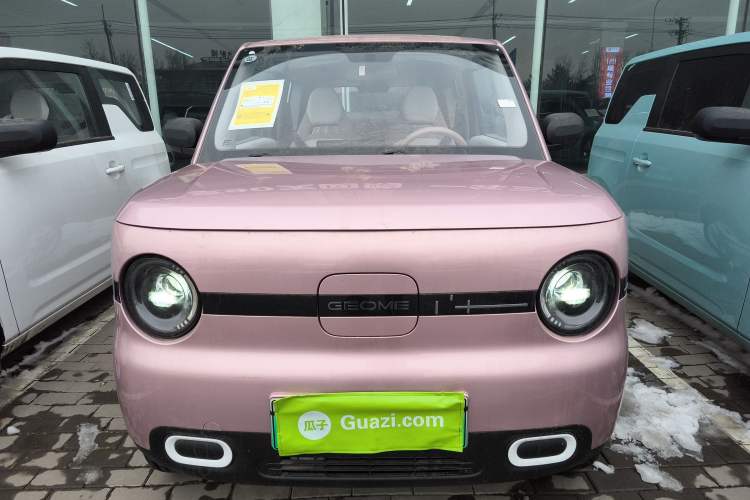 Used  Panda 2025 210 km – Yuanqi Bear
