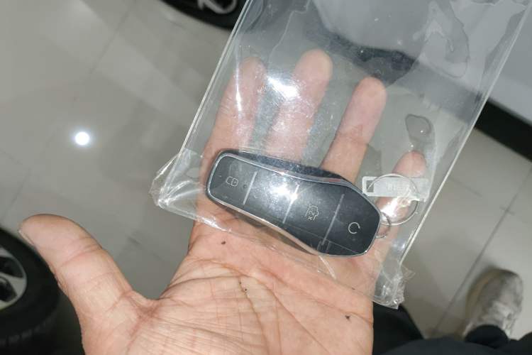 Used BYD Sealion 05 DM-i 2025 DM-i Smart Drive 115KM Flagship Model
