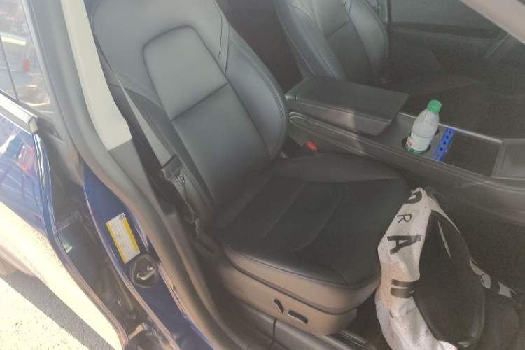 Used Tesla Model Y 2021 Standard Range Rear-Wheel Drive Version
