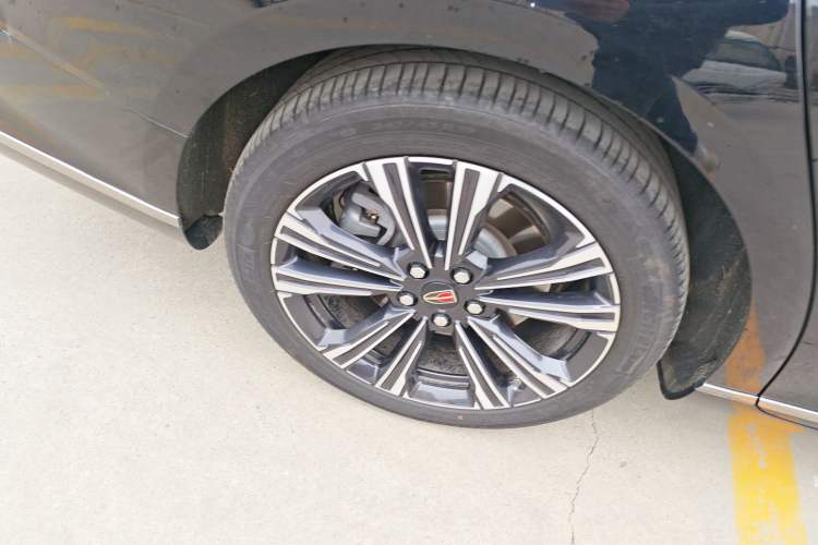 Used Hongqi H9 2024 2.0T Qixiang Private Style Edition