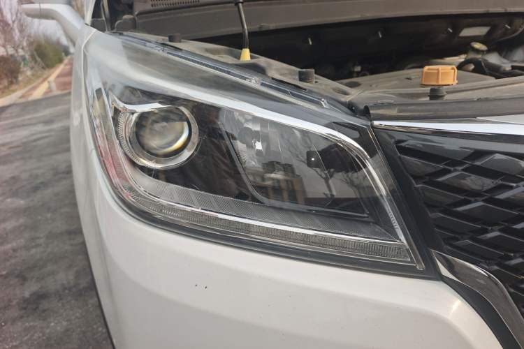 Used Oshan Cosmos 2019 1.5T Automatic Smart Version China VI Standard
