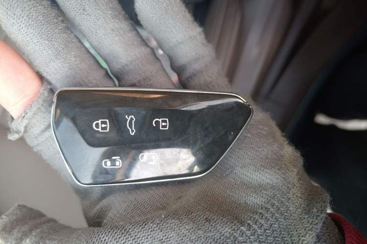 Used Volkswagen Viloran 2024 330TSI Luxury Edition
