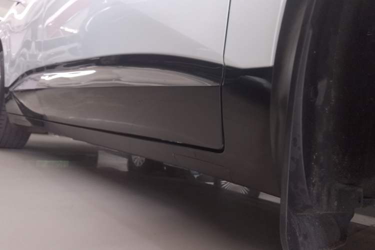 Used  07 2024 Max Extended-Range Edition
