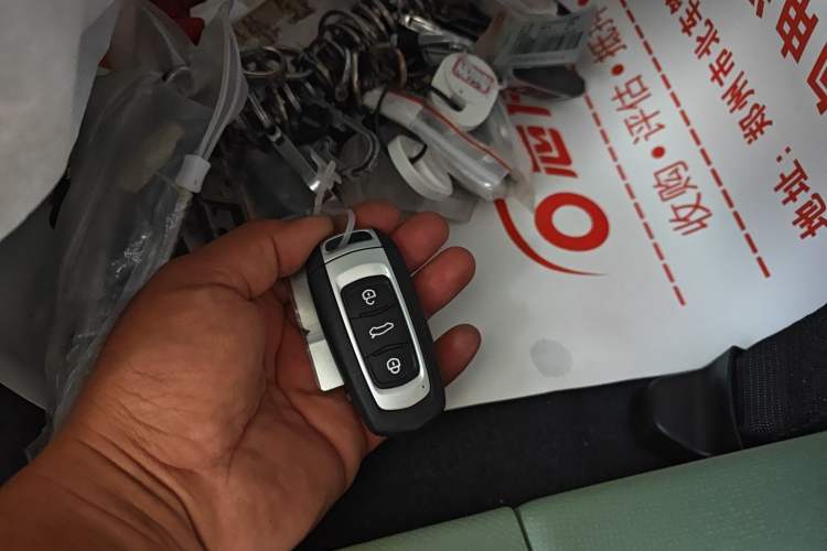 Used  Panda 2025 210km Panda Rider
