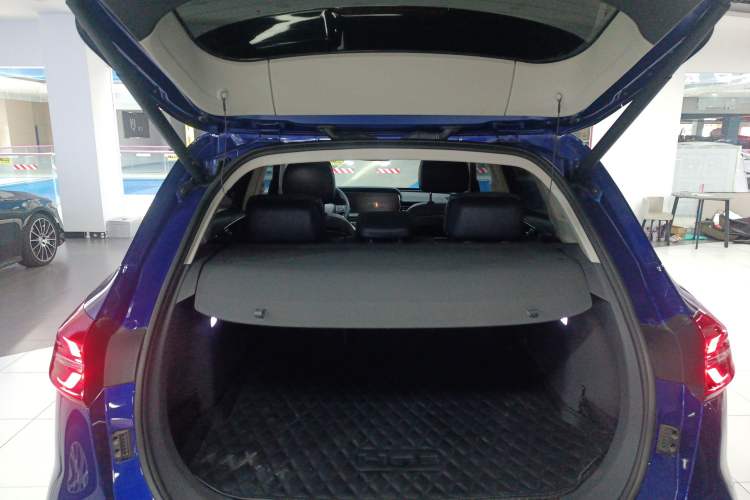 Used Hongqi HS5 2019 2.0T Smart Connect Flagship Edition
