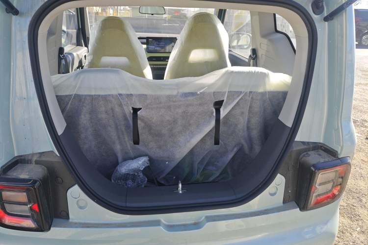 Used  Panda 2024 Panda Mini 200km Endurance Bear
