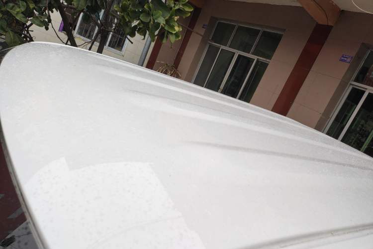 Used  Panda 2024 Panda Mini 200km Endurance Bear
