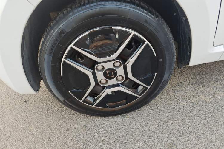 Used SOL E10X 2022 Flower Fairy Design Four-Leaf Clover