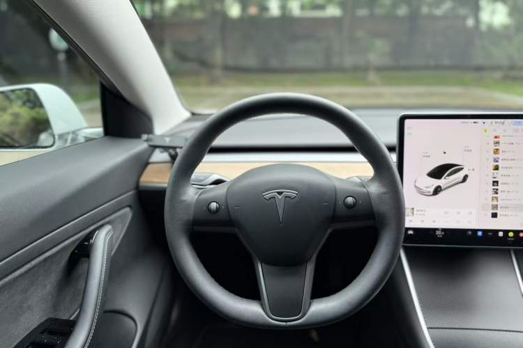 Used Tesla Model 3 2020 Revised Version Standard Range Rear-Wheel Drive – Upgraded Edition
