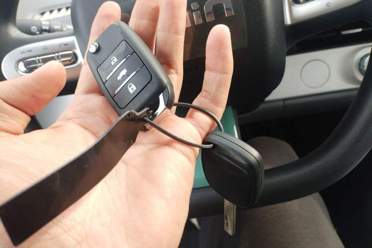 Used  Lumin 2024 130km Qingyue Version