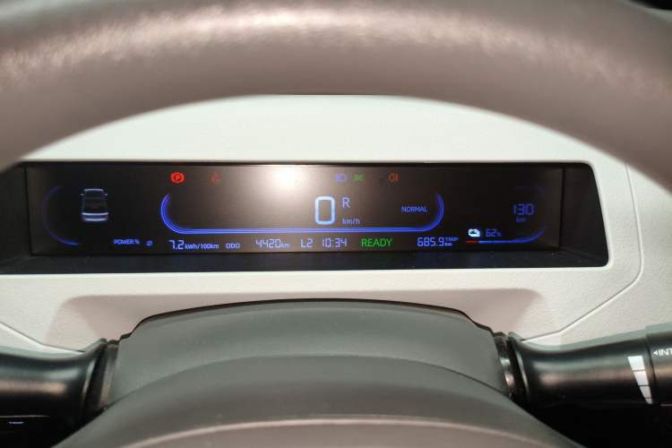 Used  Panda 2023 Panda Mini 200km Endurance Bear
