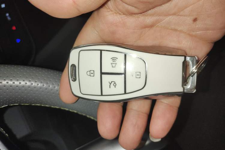 Used  BJ40 Electric Drive 2025 Advanced Edition
