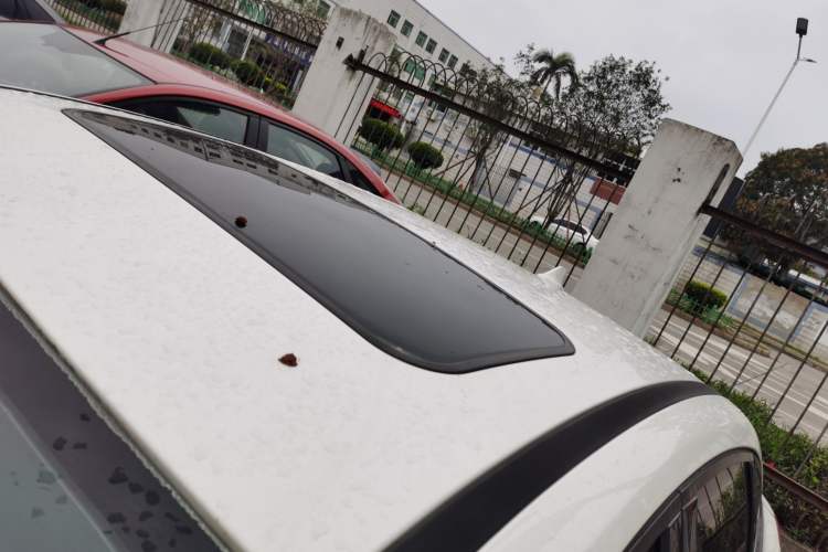 Used Ford Focus 2018 Sedan Classic 1.6L Automatic Trendy SmartDrive Edition
