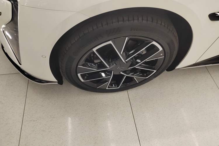 Used  06 2025 Max All-Electric Version
