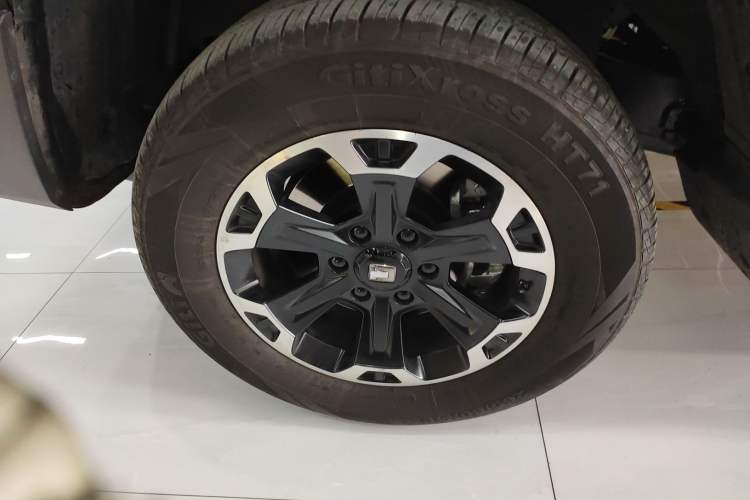 Used Tank 300 New Energy 2025 Hi4-T
