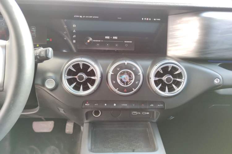 Used Tank 300 2024 2.0T Challenger
