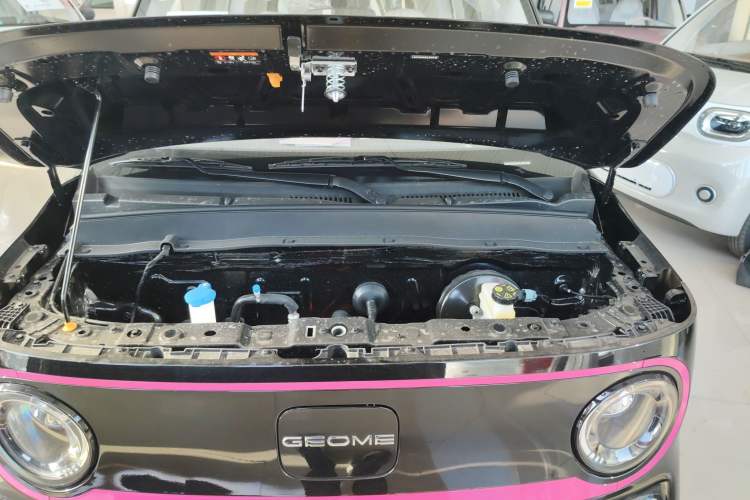 Used  Panda 2025 210km Panda Kart
