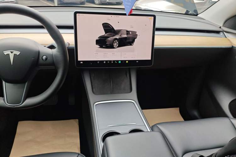 Used Tesla Model Y 2022 Rear-Wheel-Drive Version