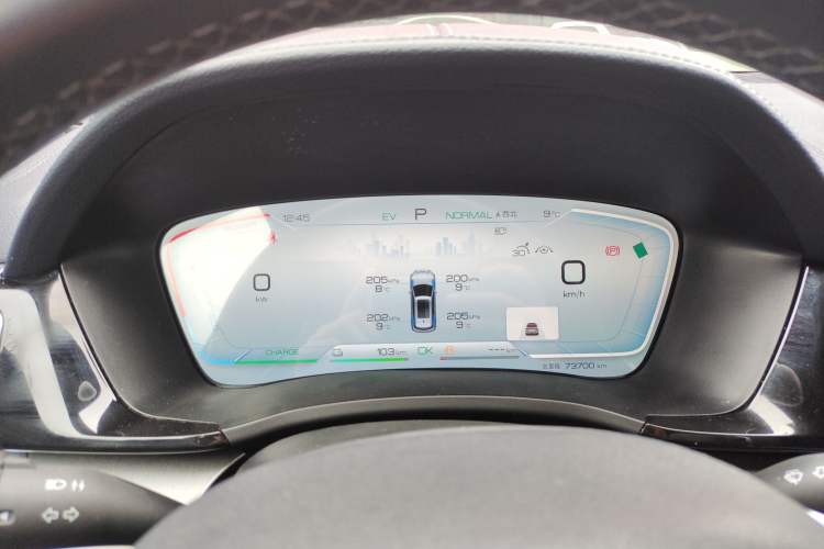 Used BYD Song PLUS New Energy 2024 HONOR Edition DM-i 110km Flagship PLUS
