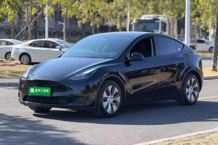 Used Tesla Model Y 2022 Rear-Wheel-Drive Version