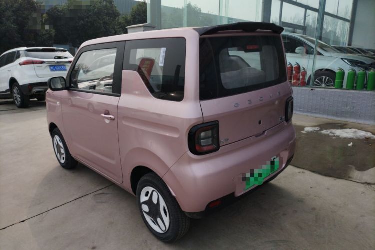 Used  Panda 2024 Panda Mini 200km Endurance Bear