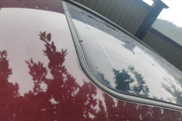 Used Soueast DX7 2017 1.5T Automatic Glory Edition
