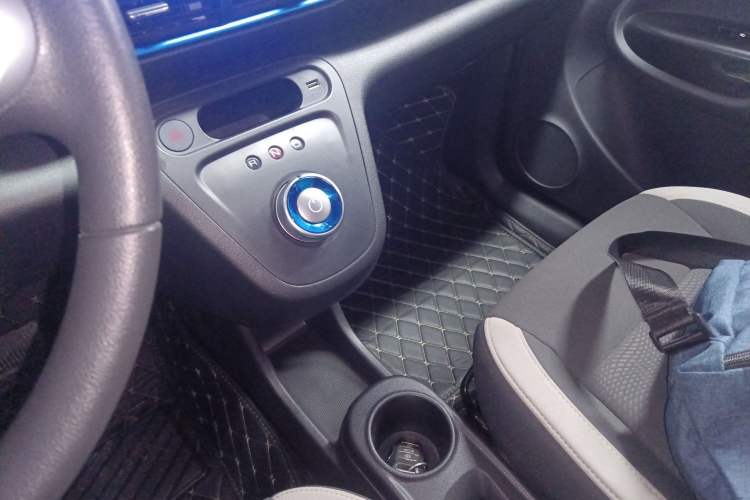 Used ORA White Cat 2020 305 km Luxury Version
