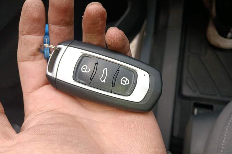 Used  Panda 2024 200km Panda Kart
