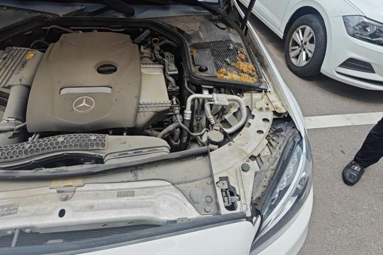 Used Mercedes-Benz C-Class 2018 C 200 Sport Edition
