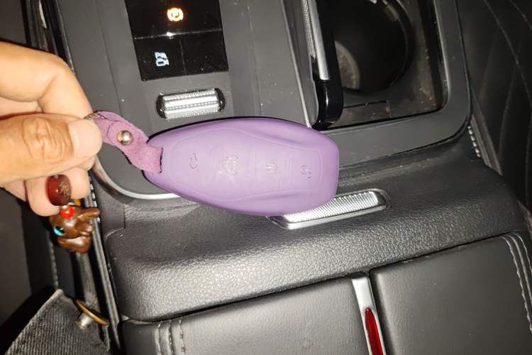 Used Hongqi HS5 2023 2.0T Four-Wheel Drive Flagship Pro Edition
