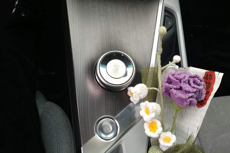 Used Geometry A 2019 High-Performance Standard Range Power Edition