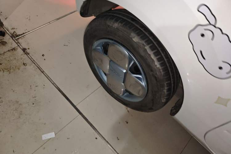 Used  Panda 2024 Panda Mini 200km Endurance Bear