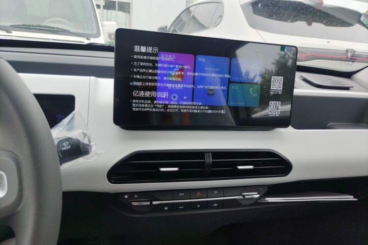 Used  Panda 2024 Panda Mini 200km Endurance Bear
