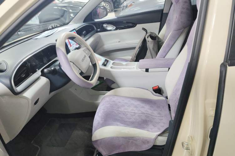 Used  Geome 2025 310km Youth Edition
