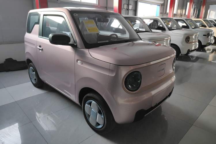 Used  Panda 2024 Panda Mini 200km Endurance Bear