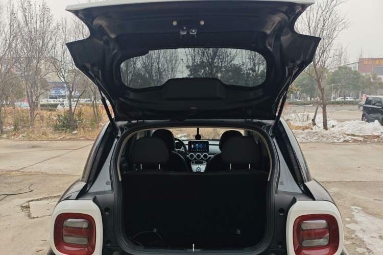 Used ORA Black Cat 2021 351 km Standard Version