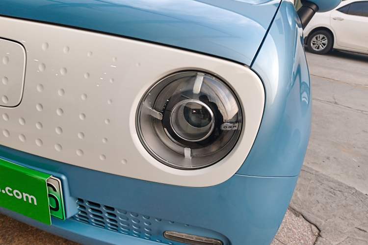 Used ORA Black Cat 2021 351 km Luxury Version
