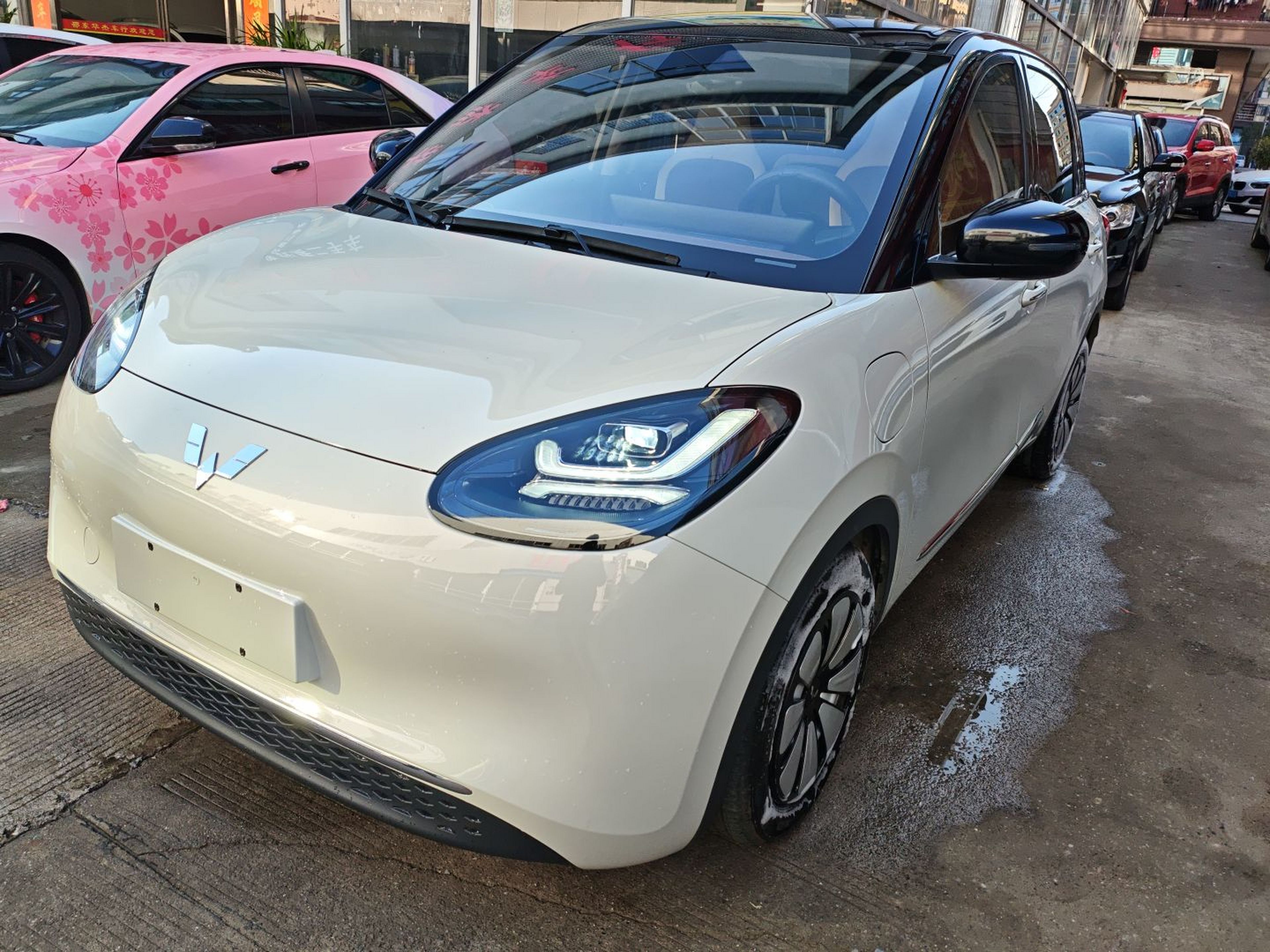 تحت مقدمة السيارة