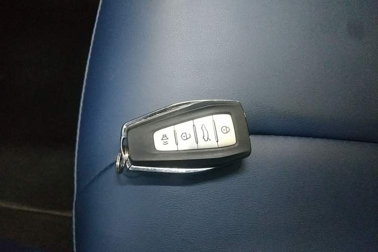 Used Geometry E Firefly 2022 401 km Linglong Tiger 4 Seats
