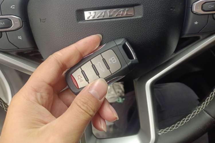 Used Haval H6 2024 1.5T Two-Wheel-Drive Classic Edition
